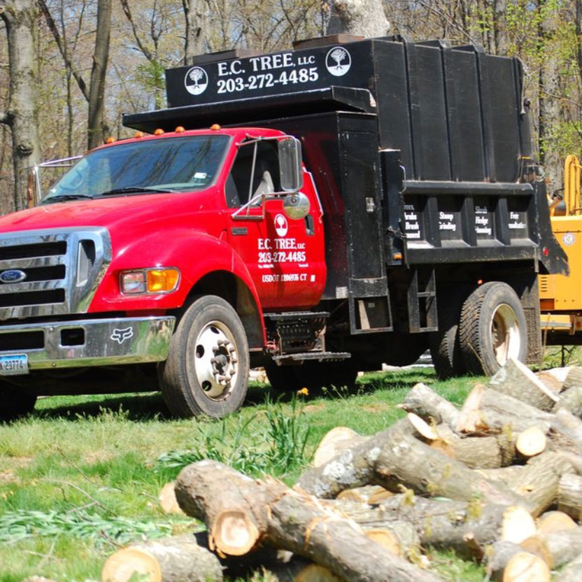 EC Tree F650 Work Truck on site